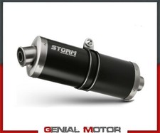 Exhaust Storm by Mivv Muffler