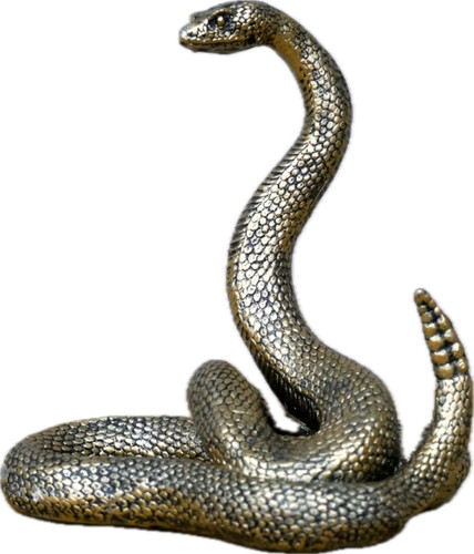 Exotic coiled rattlesnake - exotic,