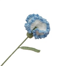 Chic Crochet Carnation Flowers