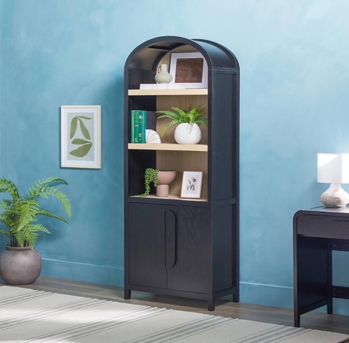 Modern arched shelf bookcase - modern,