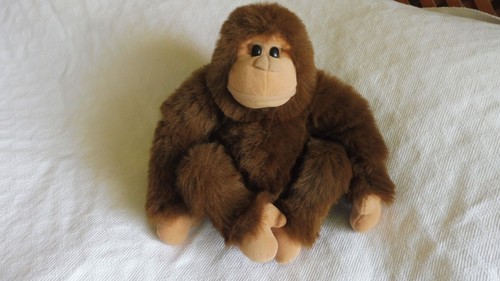 Chimpanzee orangutan soft - orangutan,