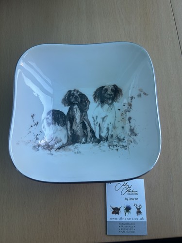 Spaniel square bowl - spaniel,