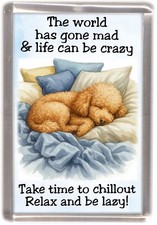 Poodle Apricot Dog Fridge