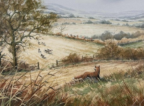 Contemporary countryside - contemporary,