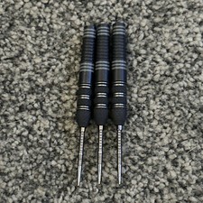 Raymond Van Barneveld Echo