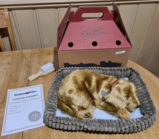 Breathing Sleeping Dog