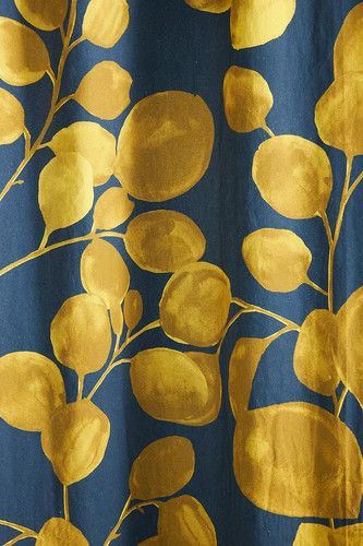 Anthropologie sussette single - anthropologie,