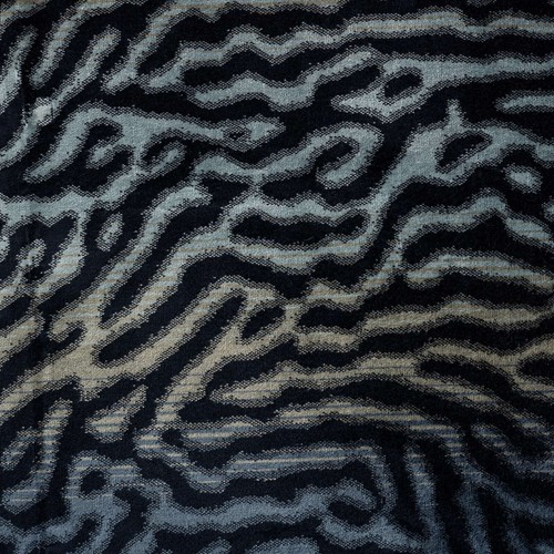 Velvet zebra animal - zebra, grey