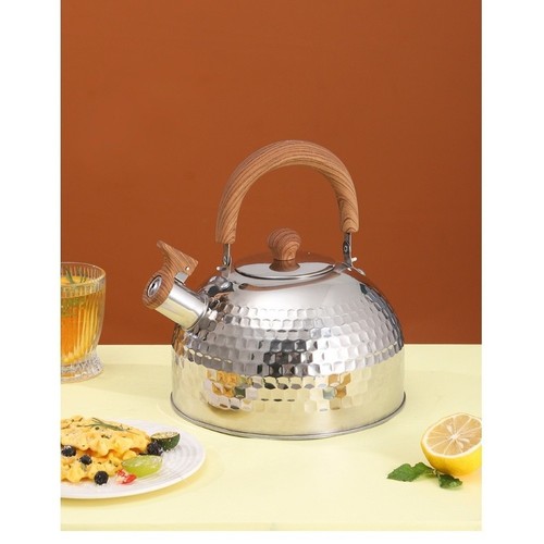 Flat bottom whistling - whistling, kettle