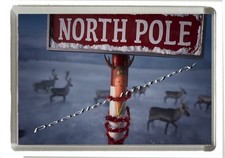 Christmas Kevin the Carrot -