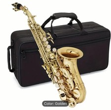 Professional Alto Saxophone