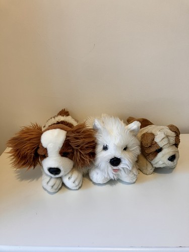 Keel toy dog westie - keel, terrier