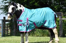 Lightweight Standard Neck