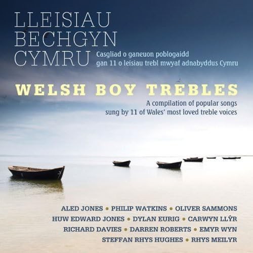 Various artists welsh boy - artists,