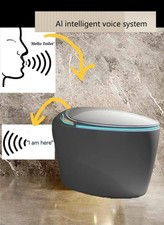Advanced SMART TOILET Voice
