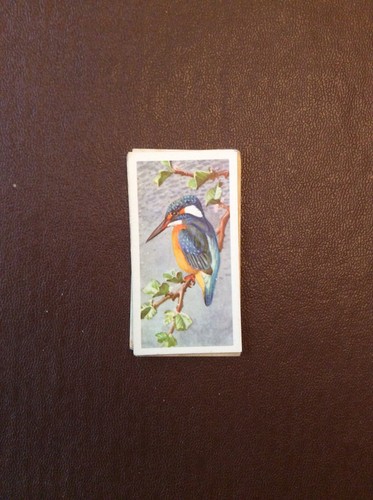 M69v trade card brooke - m69v,