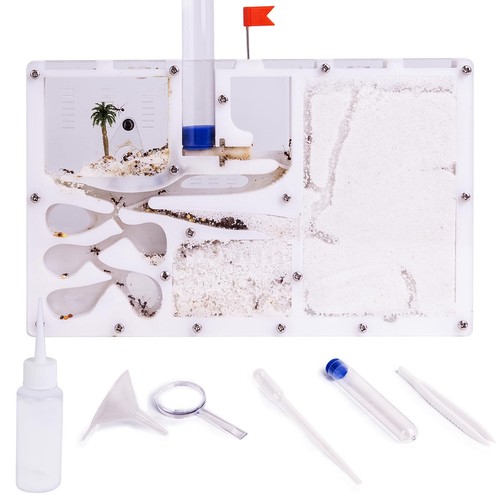 Ant farm castle habitat - ant, castle,habitat