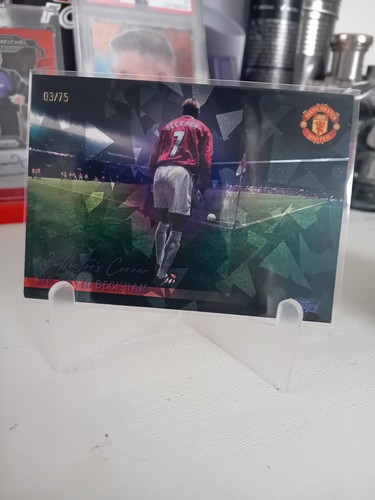 Sir david beckham topps - david,