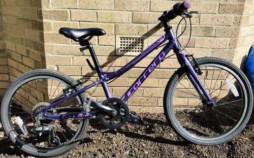 Carerra kids bike 20in - bike, wheels