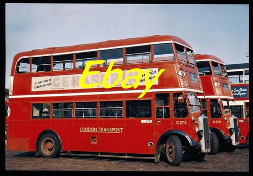 Bus photo london - , transport