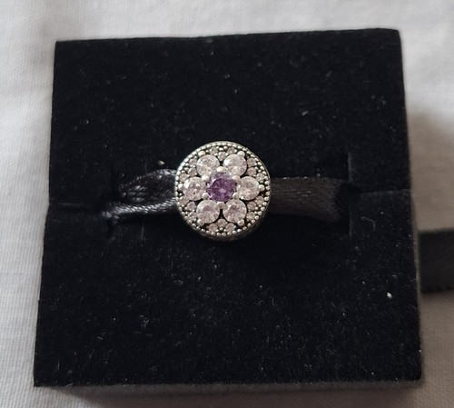 Pandora forget not charm - not,