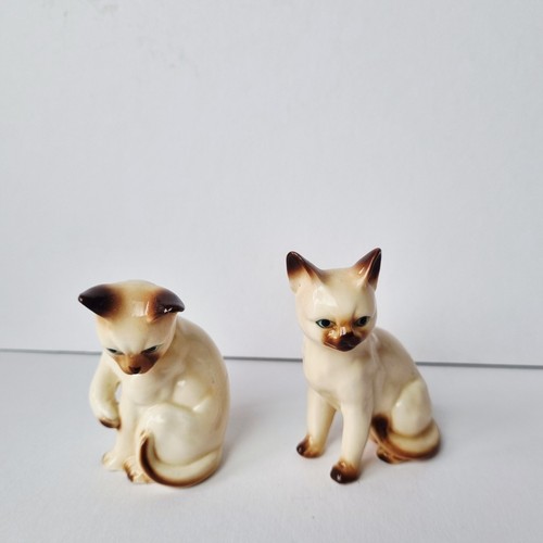 Figurines cats siamese blue - cats,