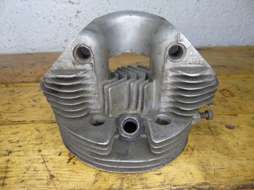 Triumph tiger cub oval - cub,