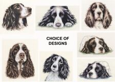 SPRINGER SPANIEL DOG, PUPPY