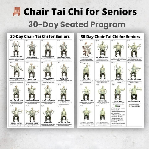 Tai chi chair exercise poster - chi,