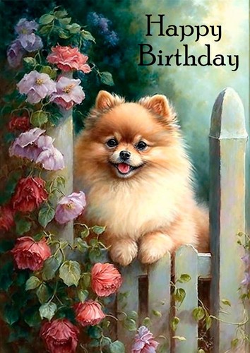 Pomeranian dog birthday - pomeranian, card