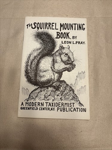 Modern taxidermist squirrel - modern,