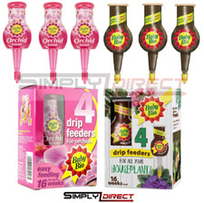 Baby Bio Orchid House Plant or