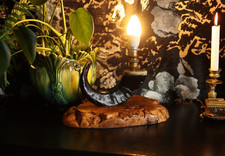 Black ram horn table lamp - ram's,