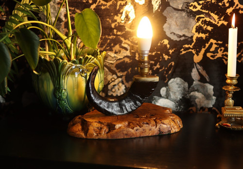 Black ram horn - table, lamp