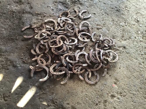 X real horse shoe - 1,