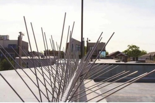 15m steel bird spikes - 15m,