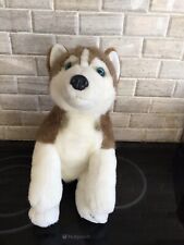 Lapland Hunaja Husky Wolf Puppy Dog Soft Toy Plush Cute Beautiful Blue Eyes VGC