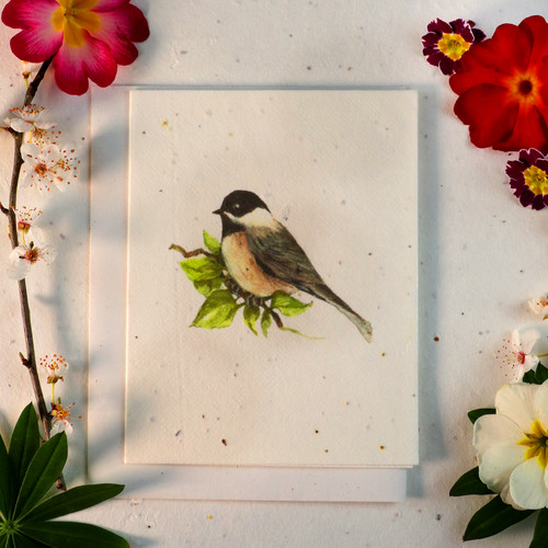 Seeded paper eco friendly - seeded,
