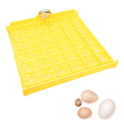 Egg incubation tray automatic - tray,