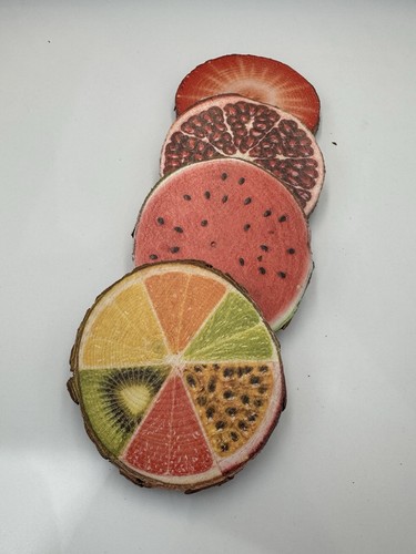 Wood coasters fruit - x, 4