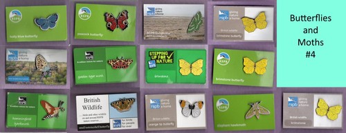 Rspb pin badges - rspb, the
