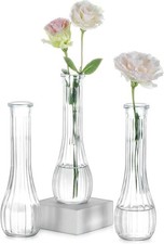 Clear Glass Bud Vase Set of 3