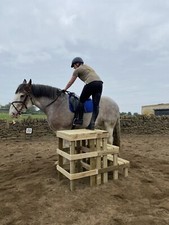 Equestrian 3 Step Mounting