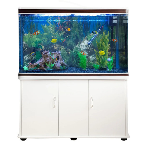 Monstershop fish tank aquarium - fish,