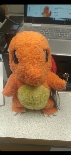 Pokémon 2025 charmander - pokÉmon,