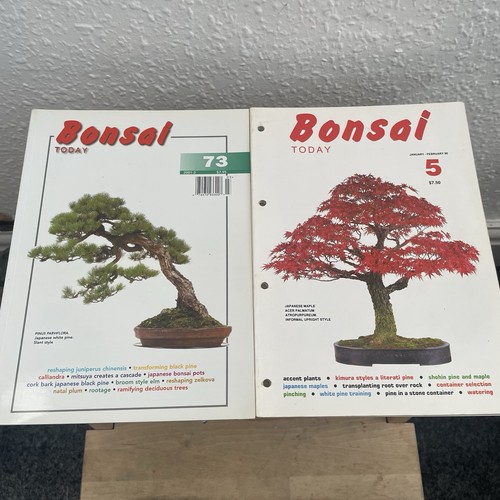 Bonsai today pair magazine two - pair,