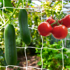 KINGLAKE Pea and Bean Netting