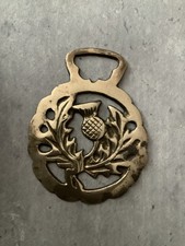 Pick From Various Old Horse