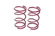 Vogtland Lowering Springs for