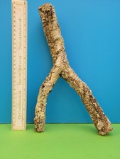 Cork bark branch - 33cm, snake